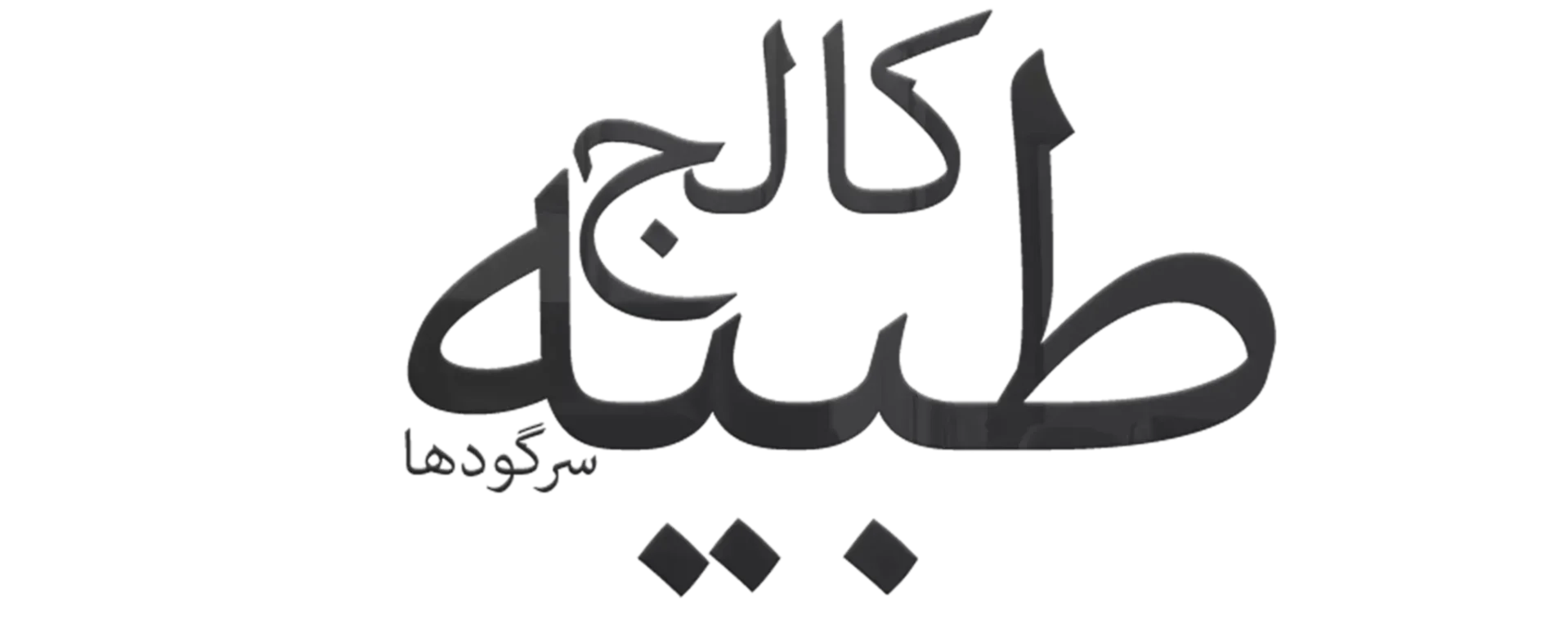 tibbia college sargodha logo